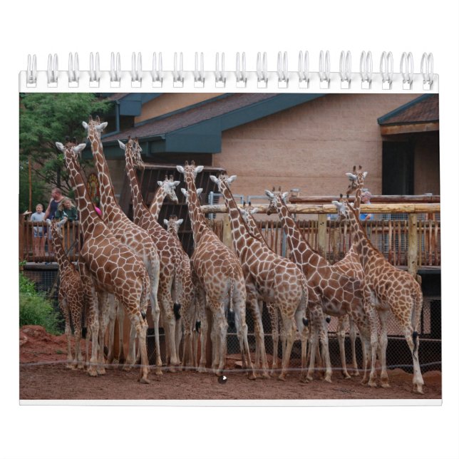 Giraffe 2022 5,5 x 7 tum kalender (Omslag)