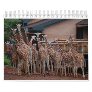 Giraffe 2022 5,5 x 7 tum kalender