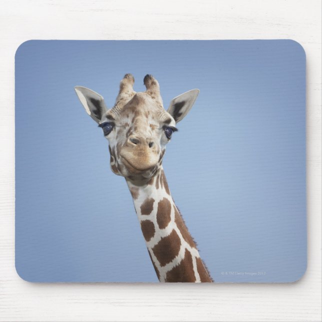 Giraffe 2 musmatta (Framsidan)