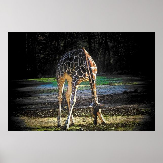 Giraffe 2 poster (Framsidan)