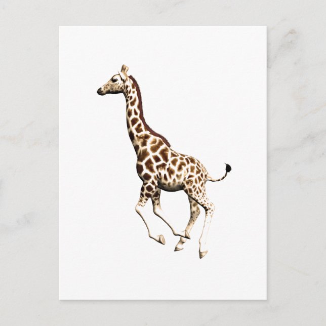 Giraffe 3 vykort (Framsida)