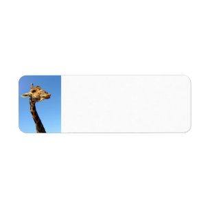giraffe-468948 FUNNY HUMOR VILDA DJUR ATTITUDE L. Returadress Etikett