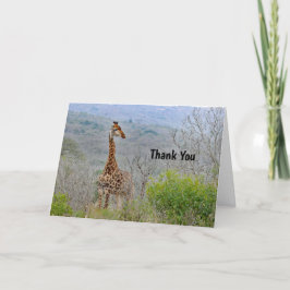 Giraffe 4 - tackkort