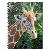 Giraffe - 6,5 x 8,75 bärbar dator