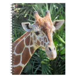 Giraffe - 6,5 x 8,75 bärbar dator anteckningsbok