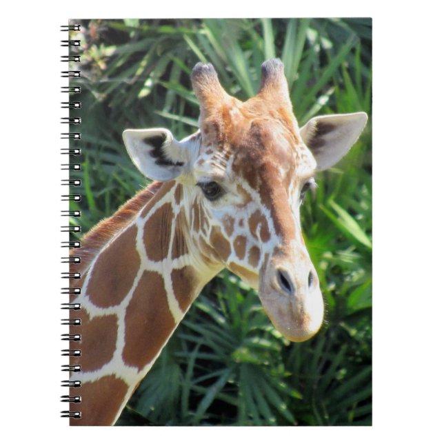 Giraffe - 6,5 x 8,75 bärbar dator anteckningsbok (Framsidan)