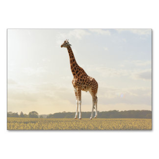 Giraffe ABA Tact Labelling Flashcard | Bild-kort Bordsnummer