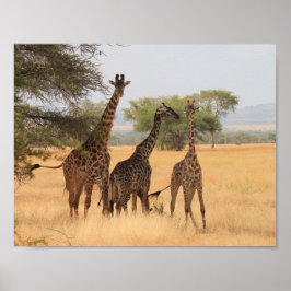 Giraffe Afrika Animal Mönster Destiny's Destiny Poster