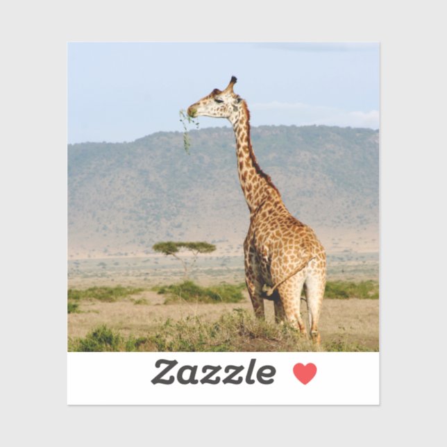 Giraffe Afrika Klistermärken (Ark)