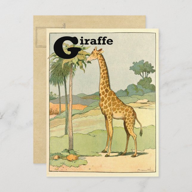 Giraffe Alphabet Animal Vykort (Fram/baksida)