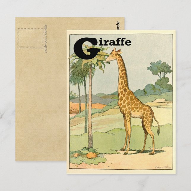 Giraffe Alphabet Animal Vykort (Fram/baksida)