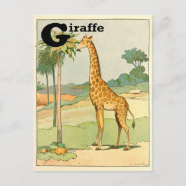 Giraffe Alphabet Animal Vykort