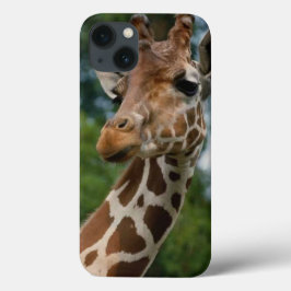 Giraffe Älskare