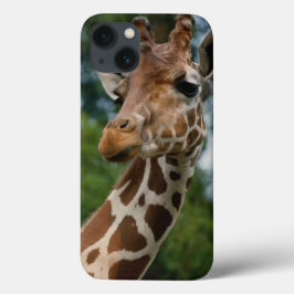 Giraffe Älskare