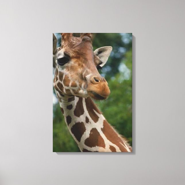 Giraffe Älskare Art Canvastryck (Framsida)