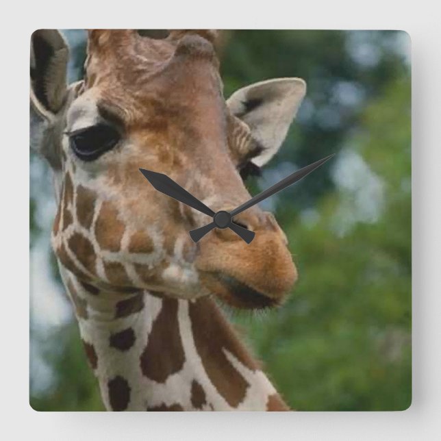 Giraffe Älskare Art Gifts Fyrkantig Klocka (Framsida)