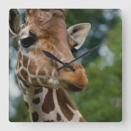 Giraffe Älskare Art Gifts Fyrkantig Klocka