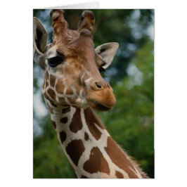 Giraffe Älskare Art Gifts Hälsningskort