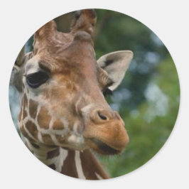 Giraffe Älskare Art Gifts Runt Klistermärke