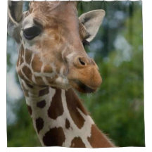 Giraffe Älskare Art Shower Curtain