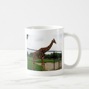 Giraffe Animal Photograph Kaffemugg