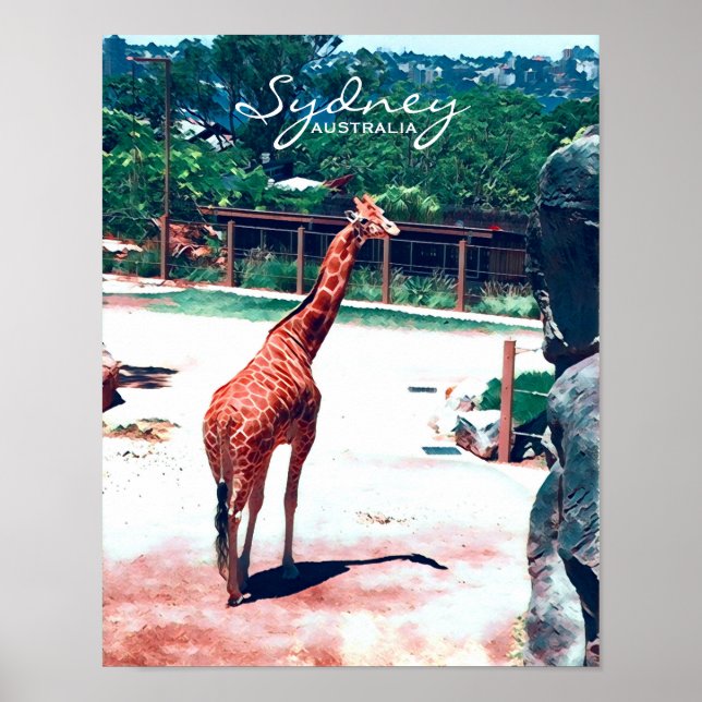 Giraffe animal Sydney Australien Poster (Framsidan)