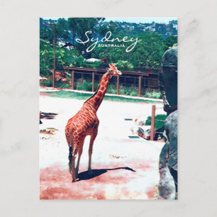 Giraffe animal Sydney Australien Vykort