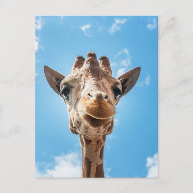 Giraffe Ansikte Close-up Photo Postcard Vykort (Framsida)