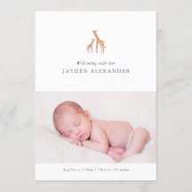 Giraffe Birth Notice