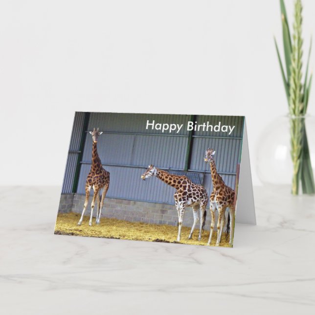 Giraffe Birthday Card Kort (Framsida)