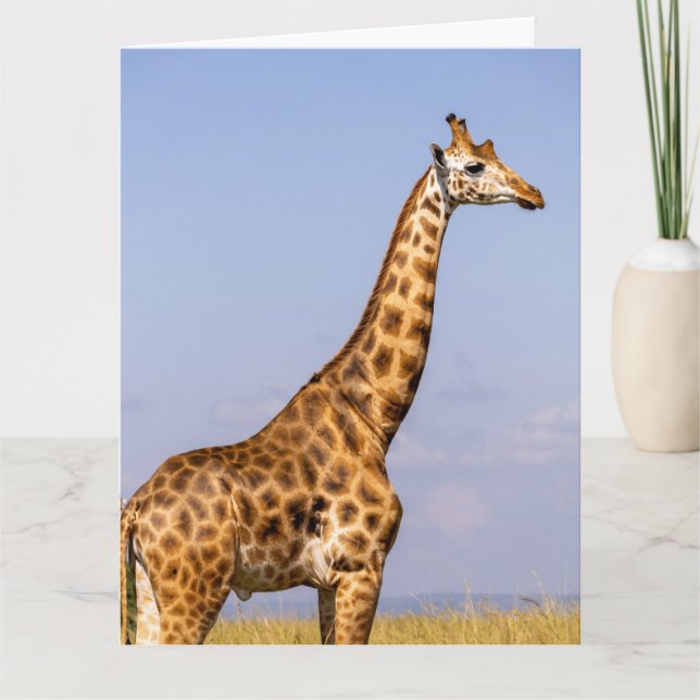 GIRAFFE BIRTHDAY GREETING CARD TACK KORT (Framsida)