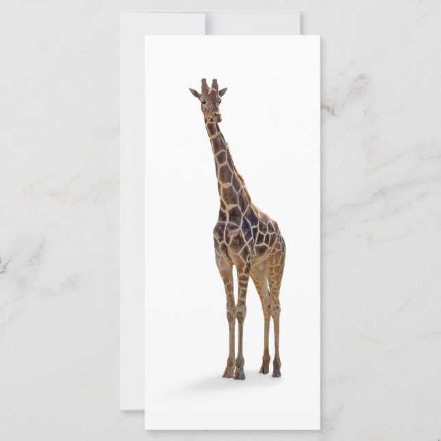 Giraffe-bokmärke/rackkort (Framsida)
