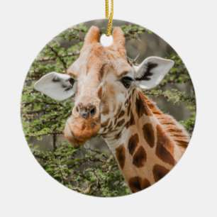 Giraffe Browsing Julgransprydnad Keramik