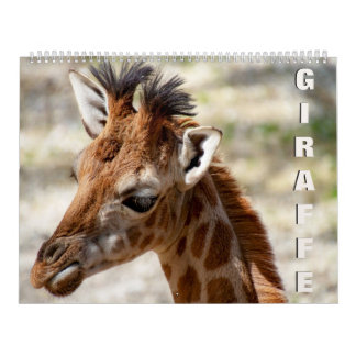 Giraffe Calendar Kalender