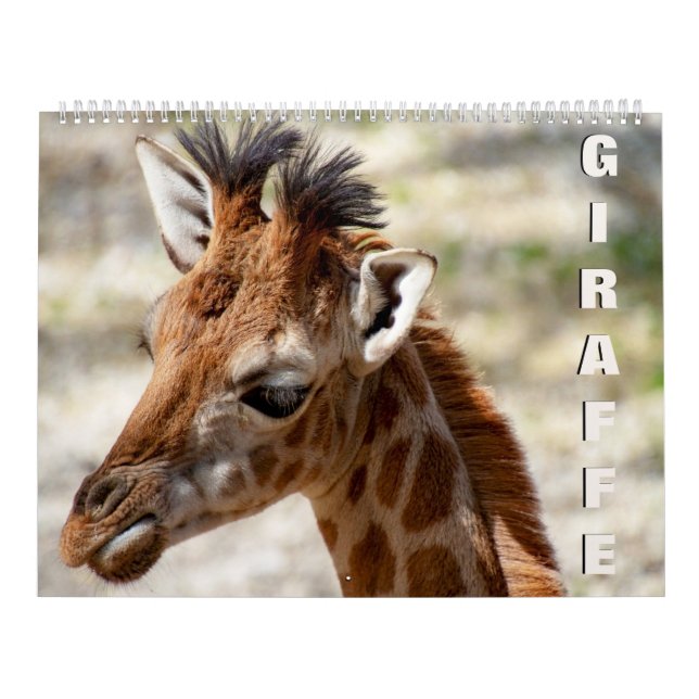 Giraffe Calendar Kalender (Omslag)
