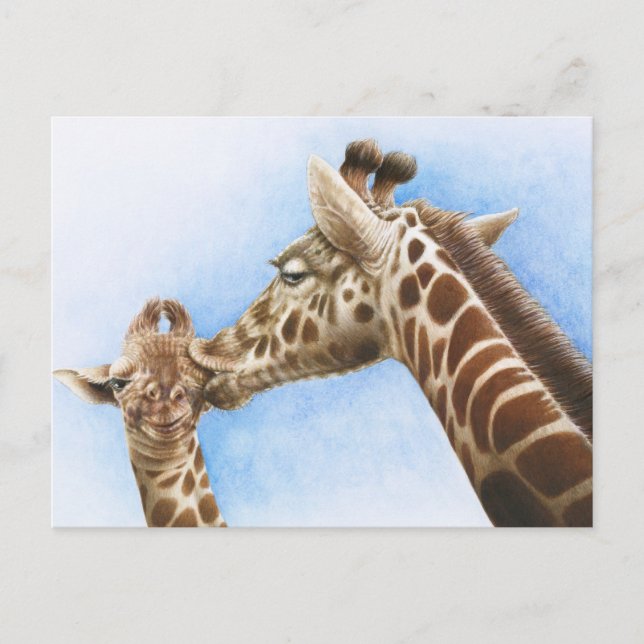 Giraffe & Calf-vykort Vykort (Framsida)