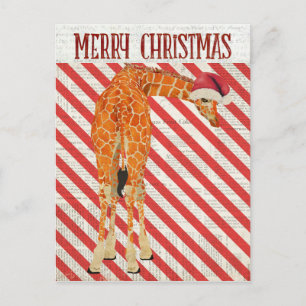 Giraffe Candy cane vykort