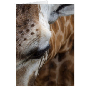 Giraffe Card Hälsningskort