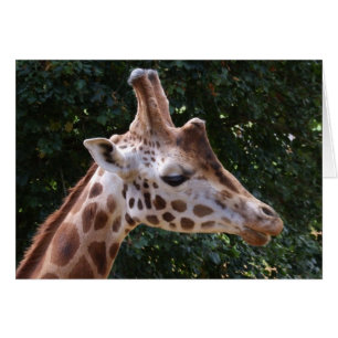 Giraffe Card Hälsningskort