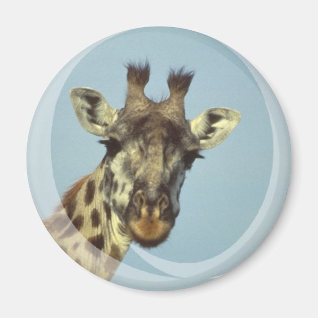 Giraffe Design Magnet (Framsidan)