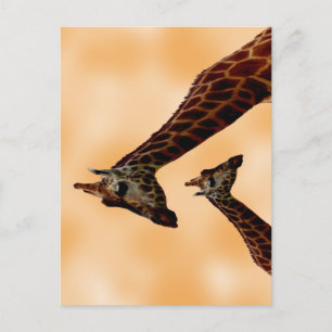 Giraffe Double Trouble, Vykort
