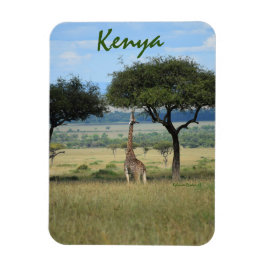 Giraffe Eating Träd i Kenya Magnet