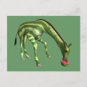 Giraffe Eating Watermelon Vykort