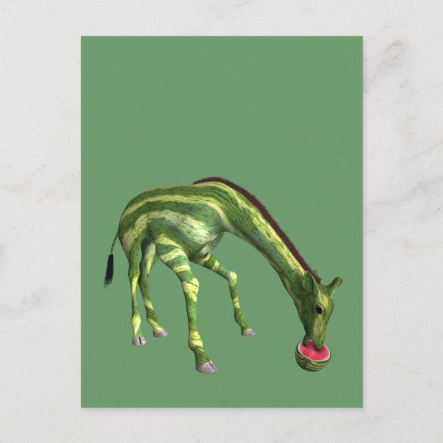 Giraffe Eating Watermelon Vykort (Framsida)