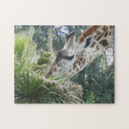 Giraffe EClose Up Pussel