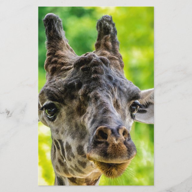 Giraffe Eyelash Brevpapper (Framsida)