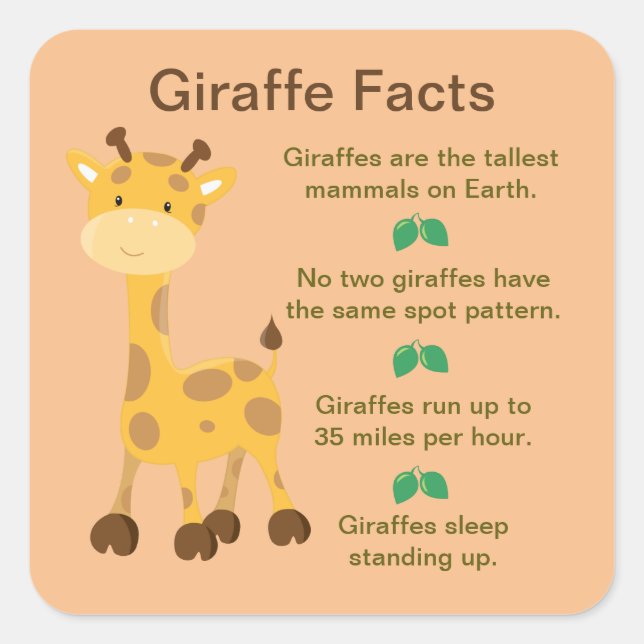 Giraffe Facts Fyrkantigt Klistermärke (Framsida)