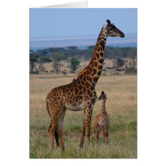 Giraffe-familjen OBS Kort