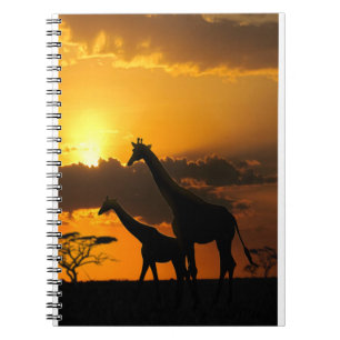 Giraffe Family 2 Anteckningsbok