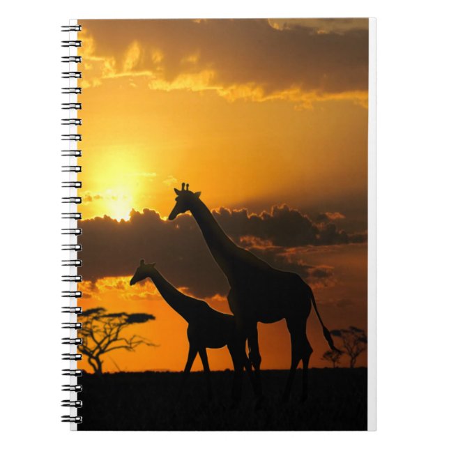 Giraffe Family 2 Anteckningsbok (Framsidan)